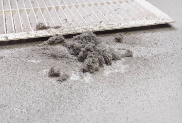 Best Ductwork Cleaning Services  in Valley Center, KS
